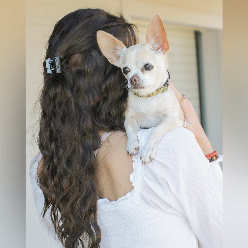 Meet your Posher, Sophia